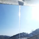 겨울농부 상림원 다이어트 식단