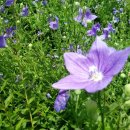 혜원농장 이미지