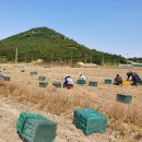 씨돌농장 이미지