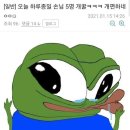 개꿀 이미지