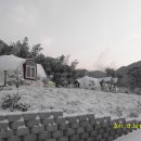 담양 반딧불 이미지