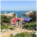 타니베이호텔 | 울산 타니베이호텔 대왕암 해녀촌 가격 여행 후기