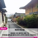 봄봄여행사