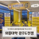 광주 도천동 카페 와플대학 광주도천캠퍼스, 치즈케이크누텔라젤라또와플 먹고 온 후기
