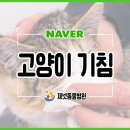 부산동물병원 제넷 이미지