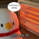 #7월 셋째주 : 당신은 귀엽습니까?