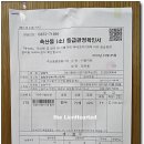 대벌 이미지