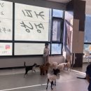 커피멍냥 광교역점 이미지