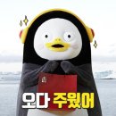(주)삼성피앤지