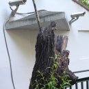 반달마을경로당 이미지