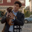 A dog's (어독스) 이미지