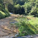 살미면사무소 이미지