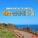 신풍리 이미지