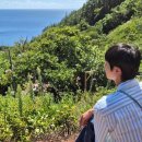 스테이, 토닥 in ulleung | 추구미 J인 P의 울릉도 여행 준비