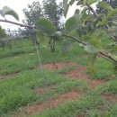 부춘농장 이미지