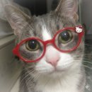 수곡로68번길(3-95) | 나 입원해요