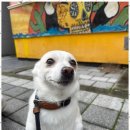 굿데이호텔 이미지