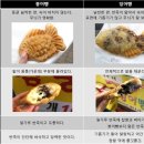 붕어빵 - 화성시 동탄솔빛로 54 | 붕어빵