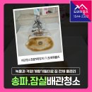대영빌라 | 잠실 수도배관청소 후기, 대영빌라 녹물 걱정! 계량기필터로 집 전체 물관리 시작하기