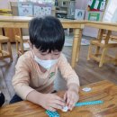 알록네이처 Daum카페
