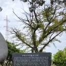 반월도보건진료소 이미지