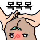 미엘 스토어 이미지