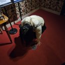 지하실 (B1) | 홍대 컨저링 유니버스 투어 생생 후기(+스포)