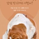 미소김밥 이미지
