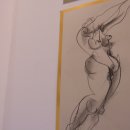 이화2호 이미지