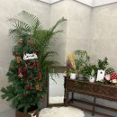 놀멍뛰멍 | 부천 실내 애견카페 추천 멍쉘(mungcher) 내돈내산 방문후기