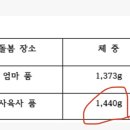 돼지만판다