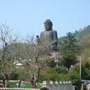 남미륵사 이미지