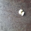 믿음카공업사 이미지