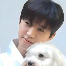 이건 귀한 보물창고예요. 이미지