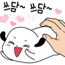 쓰담 이미지