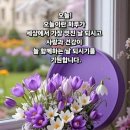 감사의 씨앗, 사랑은 영원하리(박숙자), 신안군 퍼플섬 이미지