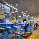속초day5. 속초 가성비 횟집 내돈내산 맛집추천. 속초시 수협청호활어센터 포장후기. 주차. 가격. 우성수산