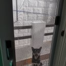 간식주개 이미지