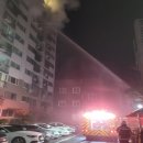 강남동-9 이미지