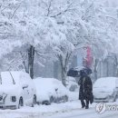 대설 이미지