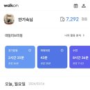 단월애