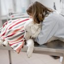 헤이든동물병원 이미지