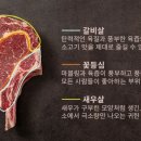 사중월