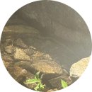 순하농장 | 구미 캠핑장 < 피크닉팜 인 다곡 체험농장 >