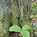 청우장모텔 이미지