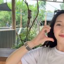 (주)아시아렌트카 | 호주 시드니 동물원 추천 시드니 주 Sydney Zoo 가는법 티켓가격 지도 관람루트 코알라랑 사진찍기...