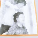 백년초한방병원 | [모발에 좋은 천연 한방 추출물 23가지와 케라틴 콜라겐이 함유된 제품]탈모치료전문 이문원한의원 염색...