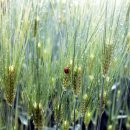 백설공주공원 이미지