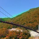 수안보파크호텔 이미지