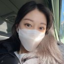 스노우브로우